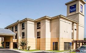 Sleep Inn & Suites Hattiesburg North